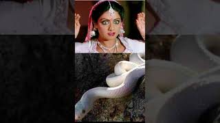 Download lagu 🐍beautiful 🌺Sridevi and Reena Roy Nagin song #youtubeshortsnew2022 🐍 mp3