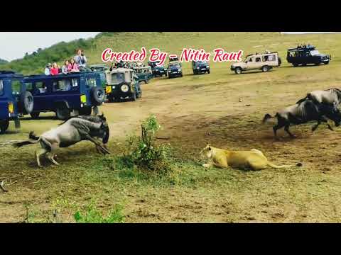 Don't Wait For Opportunity Create Your Own Opportunity