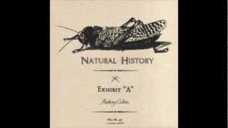 Anthony Collins   Leopard Dub   Exhibit A