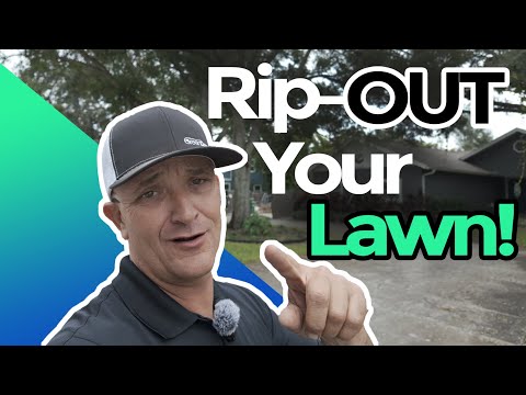 Clearwater, FL- Food Forest Transformation: What 7 Months of Growth Looks Like