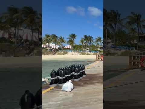 Thumbnail for Carnival Sunrise Grand Turk