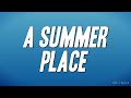 Andy Williams A Summer Place Lyrics