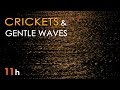 CRICKETS SEA WAVES Nature SOUNDS For SLEEPING 11 Hours Long Sleep Aid Relaxing Ocean