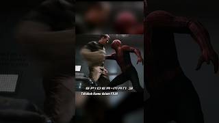 Download lagu Tahukah Kamu dalam Film Spider-Man 3 mp3