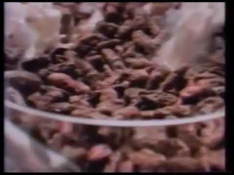 Comerciales mexicanos: Choco Krispis 2000