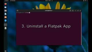 Install, Remove, and Manage Flatpak Apps in Ubuntu Linux