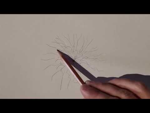 Wie entsteht ein Hexenring? Was ist ein Hexenring?