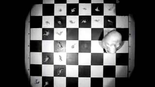 Doublose - Mental