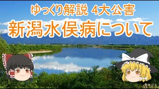 ゆっくり解説 4大公害 新潟水俣病について