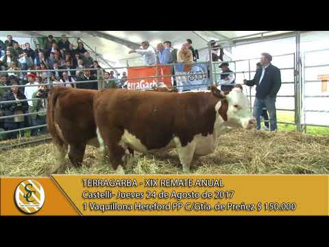 24-08-17 Venta de Elecciones Angus y P. Hereford - Terragarba - Castelli