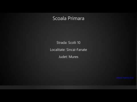 Scoala Primara Sincai-Fanate