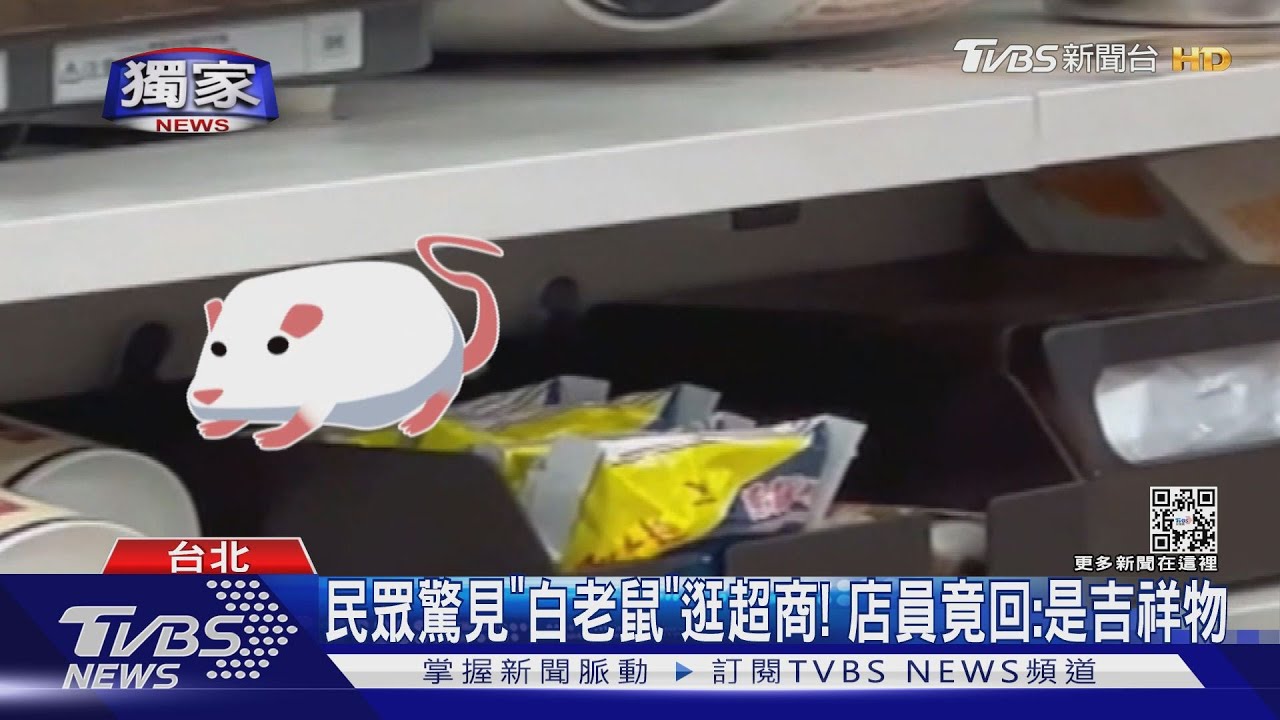 民眾驚見「白老鼠」逛超商! 店員竟回:是吉祥物
