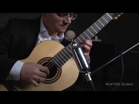 Dmitry Borodaev Guitar Newtone Student