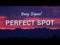 Official Busy Signal  -Perfect Spot Lyrics {Visualiser}