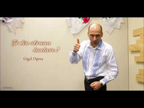 Canta-mi lautare - Gigi Oprea(audio)