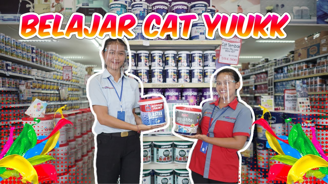 Beragam Jenis Dan Kegunaan Cat