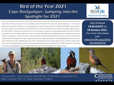 Conservation Conversations: Dr Krista Oswald - Bird Of The Year 2021: Cape Rockjumper (19Jan21)