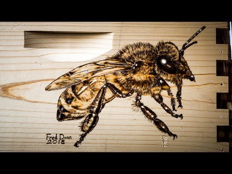 How To Draw a Honey Bee on a MannLake Beehive with Pyrography Realistic Rendering
