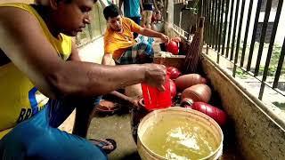 গবাদী পশু, হাস-মুরগী পালন প্রামান্য চিত্র