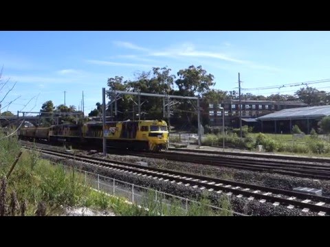 SSR102 / SSR101 with 1541 empty grain - 1/1/16