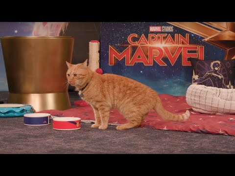 Marvel Studios’ Captain Marvel | Goose the Cat LIVE! thumnail