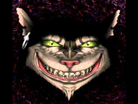 Strahlenkater - Halbwertszeit