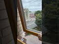 LH how to open/close window