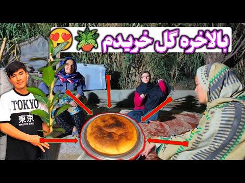 بالاخره نون آبجی فاطمه درست شد 😍خالق از فیلستان گل خرید 🪴🌿 چایی آتیشی 🔥ولاگ روزانه 🔥