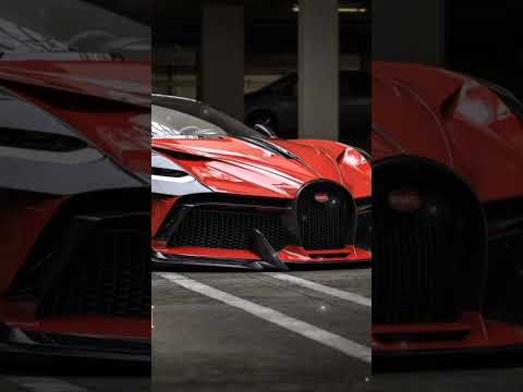 Nippandab - Top G #shorts #shortvideo #status #rocksbassmusic #bassboosted #viral