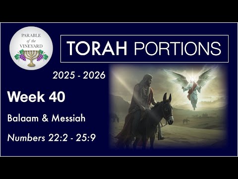 Torah Portion Week 40 - Numbers 22:2 - 25:9 (End Times Moab & House of David)  2024 - 2025