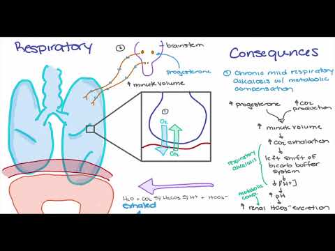 Maternal Changes in Pregnancy