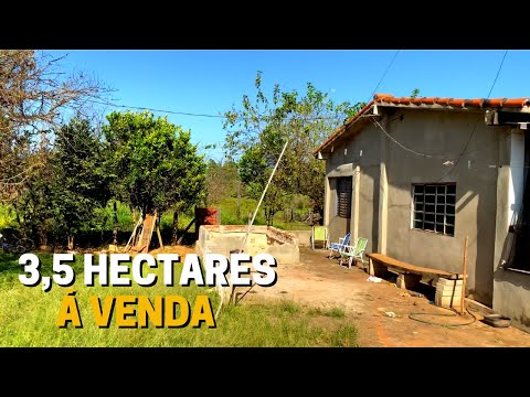 SÍTIO DE 3,5 HECTARES À VENDA EM PRATÁPOLIS - MG VALOR: 380 MIL