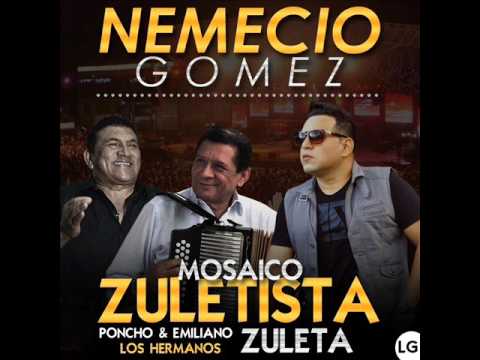 Mosaico Zuletista por Nemecio Gomez