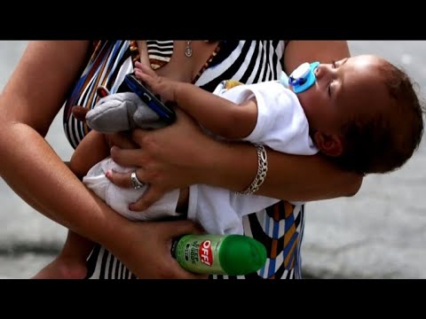 Study reveals babies could experience Zika effects later in life