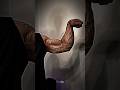 🔥💪AKIMBO 69 HARD HAND EXERCISE#trending #sports