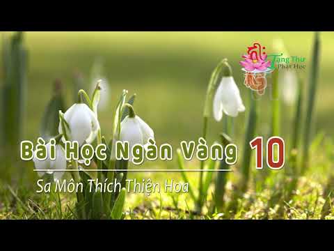 Bài Học Ngàn Vàng -10