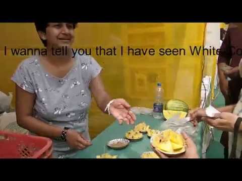 download lagu mp3 mp4 Chikoo Festival 2019, download lagu Chikoo Festival 2019 gratis, unduh video klip Chikoo Festival 2019