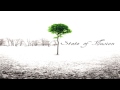State Of Illusion - Casey 
