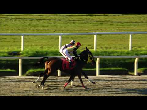 210403 c04 BAGUETINA