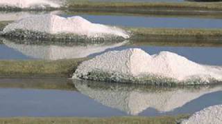 preview picture of video 'les salines de guérande'