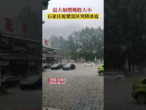 6月11日，石家庄驼梁景区突降冰雹，最大如樱桃一般 #石家庄 #shorts