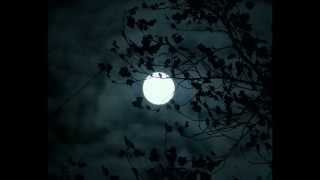 Count Basie - Sent for You Yesterday