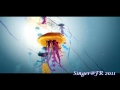Getty Images Underwater