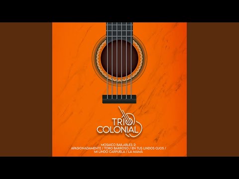 Mosaico Bailables 2: Apasionadamente / Toro Barroso / En Tus Lindos Ojos / Mi Lindo Carpuela /...