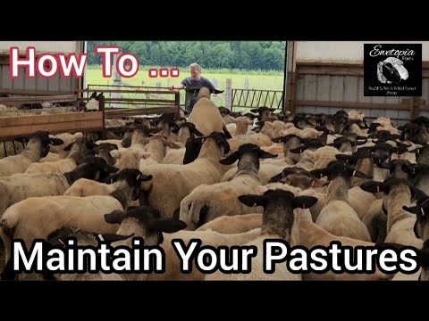 How To Maintain Your Pastures/June 22, 2022