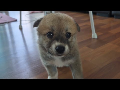 YouTube 썸네일