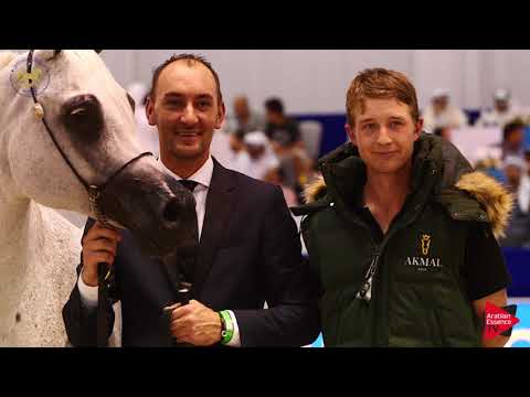 PEPITA - SENIOR MARE GOLD CHAMPION