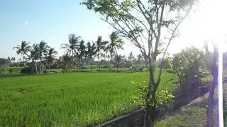 preview picture of video 'Canggu vers Tanah Lot'