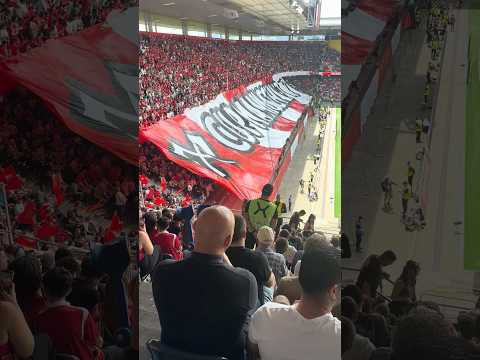 #choreo vor dem CUP FINAL Schweiz #fcbasel #fcbiel #fcbasel1893 #basel #swissfootball #schweizercup