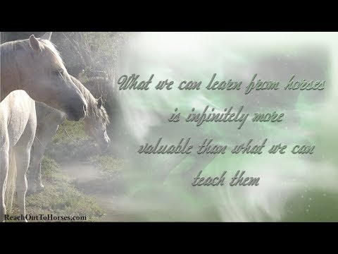 TiTv Anna Twinney presents: Horses Acting Out as a Form of Communication